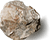 БАРИТ