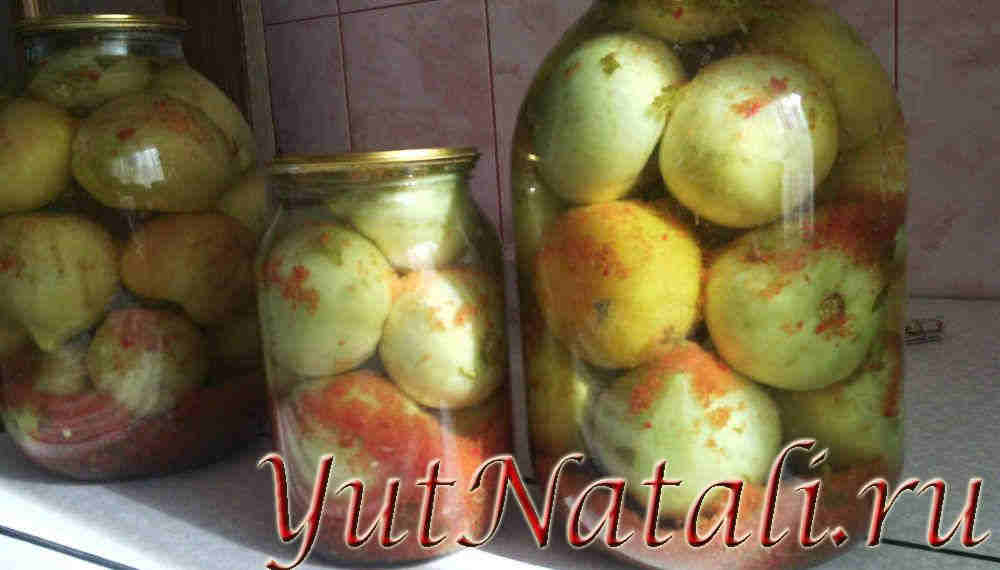 Зелёные помидоры